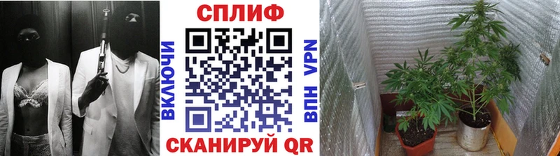 НБОМе Тобольск