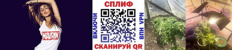 где продают   Тобольск  Бошки Шишки OG Kush 